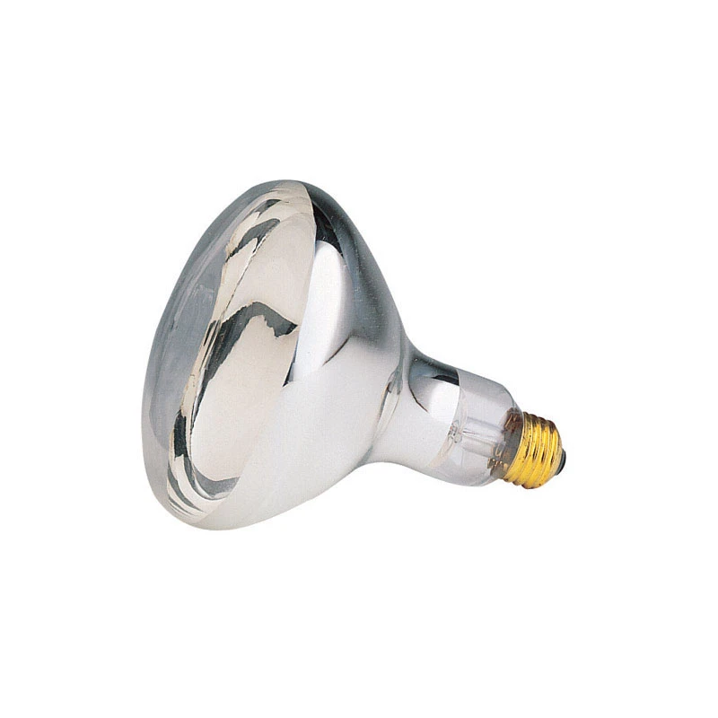 celebrationhardware4567145