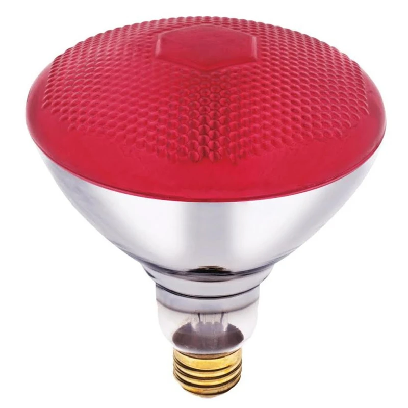 celebrationhardware4595943