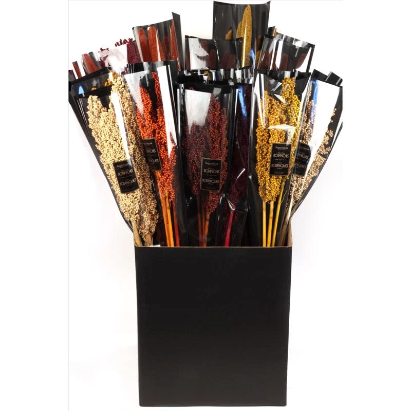 celebrationhardware5328192